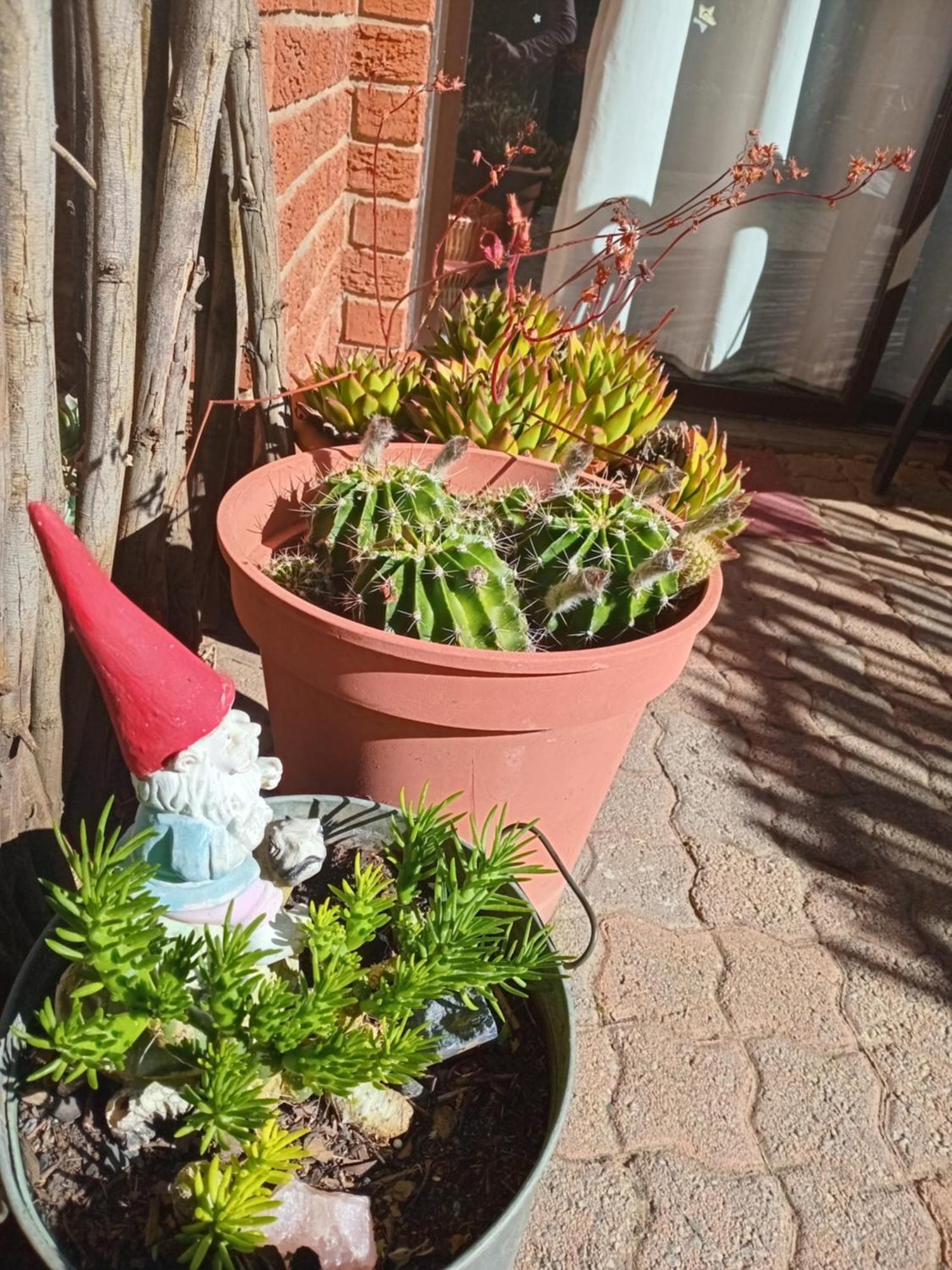 Amani Guest House Clarens Exterior foto